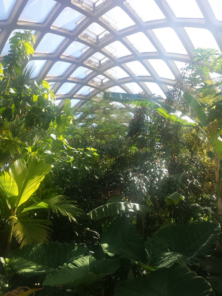 denver botanic gardens tropical conservatory